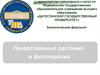 Основы заготовительного процесса и стандартизации лекарственного растительного сырья