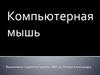Компьютерная мышь