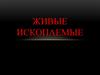 Живые ископаемые