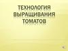 Выращивание томатов