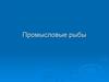Промысловые рыбы