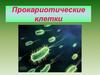 Прокариотические клетки