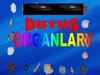 Duýuş organlary