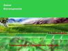 Закономірності сукцесійних процесів