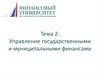 Управление государственными и муниципальными финансами