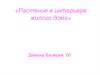 Растение в интерьере жилого дома»