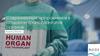 Современные направления в создании трансплантатов органов