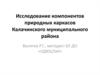 Исследование компонентов природных каркасов Калачинского муниципального района