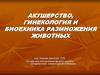 Акушерство, гинекология и биомехника размножения животных