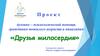 Проект духовно – психологической помощи гражданам пожилого возраста и инвалидам «Друзья милосердия»