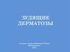 Зудящие дерматозы