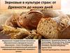 Зерновые в культуре стран: от Древности до наших дней