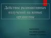 Влияние радиоактивных излучений на живые организмы