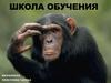 Школа обучения. Обучение, как повышение уровня собственных знаний