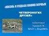 Жизнь и судьба наших четвероногих друзей