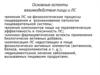 Основные аспекты взаимодействия пищи и ЛС