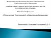 Полномочия Центральной избирательной комиссии