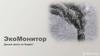 ЭкоМонитор