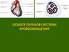 Осмотр органов системы кровообращения