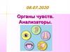 Органы чувств. Анализаторы
