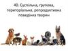 Суспільна, групова, територіальна, репродуктивна поведінка тварин