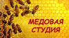 Медовая студия
