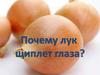 Почему лук щиплет глаза?