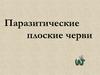 Паразитические плоские черви