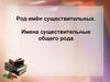 Род существительных. Имена существительные общего рода
