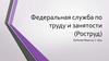Федеральная служба по труду и занятости (Роструд)