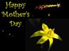Mother's day