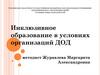 Инклюзивное образование в условиях организаций ДОД