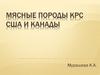 Мясные породы крупного рогатого скота США и Канады