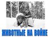 Животные на войне