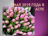 9 мая 2019 года в Аспе