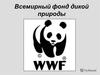 Всемирный фонд дикой природы