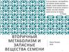 Вторичный метаболизм и запасные вещества семени растений