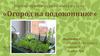 Научно-практическая работа на тему: «Огород на подоконнике»