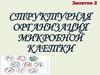 Структурная организация микробной клетки