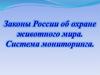 Законы России об охране животного мира. Система мониторинга