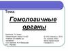 Гомологичные органы