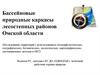 Бассейновые природные каркасы лесостепных районов Омской области