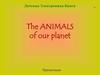 The animals of our planet