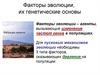Факторы эволюции, их генетические основы. Лекция 4