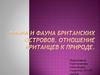 Флора и фауна Британских островов. Отношение британцев к природе