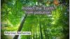 Protect the Earth from pollution