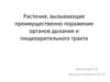 Растения, вызывающие преимущественно поражение органов дыхания и пищеварительного тракта
