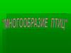 Многообразие птиц