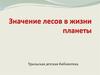 Значение лесов в жизни планеты