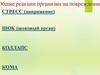 Реакции организма на повреждения